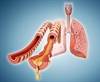 Pulmonary Rehabilitation Benefits in COPD, Lung Cancer, and Other Respiratory Conditions Pulmonary Rehabilitation Benefits in COPD, Lung Cancer, and Other Respiratory Conditions