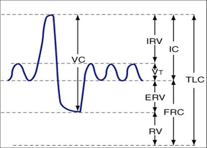 function pulmonary testing lung frc tlc rv capacity functional equipment figure measured components residual technique pulmonologyadvisor