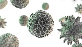 Over 8 years follow-up, researchers identified cholestatoma in 209 patients. Over 8 years follow-up, researchers identified cholestatoma in 209 patients.