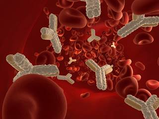 Nearly all the vaccines given shortly after birth demonstrated a strong inhibitory response to maternal antibodies. Nearly all the vaccines given shortly after birth demonstrated a strong inhibitory response to maternal antibodies.
