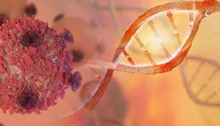 The American Society for Radiation Oncology released guidelines on stereotactic body radiation therapy for early-stage non-small cell lung cancer. The American Society for Radiation Oncology released guidelines on stereotactic body radiation therapy for early-stage non-small cell lung cancer.