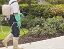 Occupational Exposure and COPD: Does Pesticide Exposure Cause Chronic Bronchitis? Occupational Exposure and COPD: Does Pesticide Exposure Cause Chronic Bronchitis?