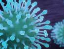 New Influenza Vaccine Guidelines Released for Patients With Egg Allergy New Influenza Vaccine Guidelines Released for Patients With Egg Allergy