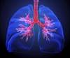 Ofev Shown to Slow Idiopathic Pulmonary Fibrosis Progression Long-Term Ofev Shown to Slow Idiopathic Pulmonary Fibrosis Progression Long-Term