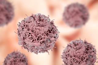 Nivolumab therapy was associated with a superior toxicity profile and fewer grade 3 or 4 adverse events. Nivolumab therapy was associated with a superior toxicity profile and fewer grade 3 or 4 adverse events.