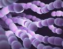 Improving Length of Stay, Mortality in Severe Community-Acquired Pneumonia Improving Length of Stay, Mortality in Severe Community-Acquired Pneumonia