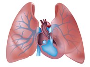 Pulmonary Hypertension Linked With Worse Prognosis In CKD ESRD Renal 