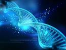 Phenotypes Associated With <i>EIF2AK4</i> Mutations in PAH Phenotypes Associated With <i>EIF2AK4</i> Mutations in PAH