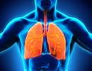 COPD, Respiratory Symptoms Associated With "Western" Diet COPD, Respiratory Symptoms Associated With "Western" Diet