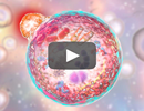 Identifying New Therapeutics for Pulmonary Diseases: An Interview With Augustine M.K. Choi, MD Identifying New Therapeutics for Pulmonary Diseases: An Interview With Augustine M.K. Choi, MD