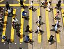 Walking in Polluted Area Blunts Cardiorespiratory Benefits Walking in Polluted Area Blunts Cardiorespiratory Benefits