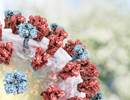 H3N2 Influenza Activity Increasing in the United States H3N2 Influenza Activity Increasing in the United States