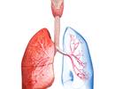Precision Medicine May Pave the Way for Better Treatment in Asthma, COPD Precision Medicine May Pave the Way for Better Treatment in Asthma, COPD