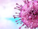 A 56-Year-Old Woman Presents With Upper Respiratory Infection With Mild Fever A 56-Year-Old Woman Presents With Upper Respiratory Infection With Mild Fever