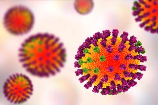 In both fine aerosols and stationary droplets, this infectivity was sustained. In both fine aerosols and stationary droplets, this infectivity was sustained.