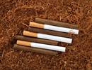 Exclusive Use of Cigarettes, Cigars, and Pipes Increases Mortality Risk Exclusive Use of Cigarettes, Cigars, and Pipes Increases Mortality Risk
