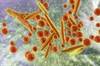 Azithromycin Timing Not Associated With Childhood Mycoplasma Pneumonia Outcomes Azithromycin Timing Not Associated With Childhood Mycoplasma Pneumonia Outcomes