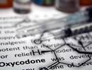 Asthma, Allergic Rhinitis Prevalence With Long-Term Opioid Use Asthma, Allergic Rhinitis Prevalence With Long-Term Opioid Use