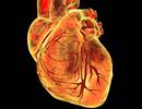 Severe Sleep Disordered Breathing May Be Linked to Heart Failure Severe Sleep Disordered Breathing May Be Linked to Heart Failure