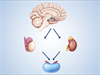 Asthma Development in Early Childhood May Hinge on Early Life Stress Asthma Development in Early Childhood May Hinge on Early Life Stress