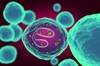 Eosinophilic Asthma Treatment: Biologic Agents Compared Eosinophilic Asthma Treatment: Biologic Agents Compared