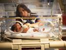 Decreased Lung Function More Prevalent in Preterm Born Children Decreased Lung Function More Prevalent in Preterm Born Children
