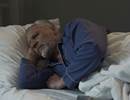 Asthma and COPD Overlap Associated With Higher Risk for Sleep-Related Symptoms Asthma and COPD Overlap Associated With Higher Risk for Sleep-Related Symptoms
