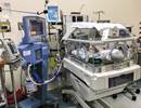 Pulmonary Function Testing Detects Distinct Phenotypes in Bronchopulmonary Dysplasia Pulmonary Function Testing Detects Distinct Phenotypes in Bronchopulmonary Dysplasia