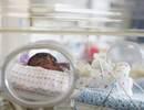 Vitamin D Supplementation Reduced Recurrent Wheezing in Premature Black Infants Vitamin D Supplementation Reduced Recurrent Wheezing in Premature Black Infants