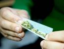 Smoking Marijuana May Be Tied to Cough, Sputum Production Smoking Marijuana May Be Tied to Cough, Sputum Production