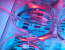 Whole-Genome Sequencing Proves Valuable in Severe COPD Whole-Genome Sequencing Proves Valuable in Severe COPD