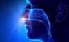 Nasal Microbiota Changes Linked to Obstructive Sleep Apnea, Inflammation Nasal Microbiota Changes Linked to Obstructive Sleep Apnea, Inflammation
