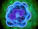 Basophil Levels in Childhood Asthma May Indicate Risk for Future Exacerbations Basophil Levels in Childhood Asthma May Indicate Risk for Future Exacerbations
