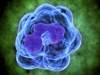 Basophil Levels in Childhood Asthma May Indicate Risk for Future Exacerbations Basophil Levels in Childhood Asthma May Indicate Risk for Future Exacerbations
