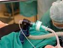 Six-Point Risk Factor Score Predicts Hypoxemia During Tracheal Intubation Six-Point Risk Factor Score Predicts Hypoxemia During Tracheal Intubation