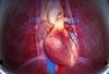 Cardiovascular Comorbidity Screening Should Be Conducted in COPD With Obesity Cardiovascular Comorbidity Screening Should Be Conducted in COPD With Obesity